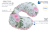 B07X345WBN.PT03.png