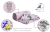 B07N8VH571.PT04.png