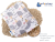 B07L983C1N.PT03.png