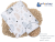 B0BXPR4YBP.PT03.png