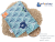 B08ZYFNZ92.PT03.png