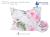 B08BFL9VT7.PT01.png