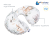 B0BYF48NFV.PT02.png